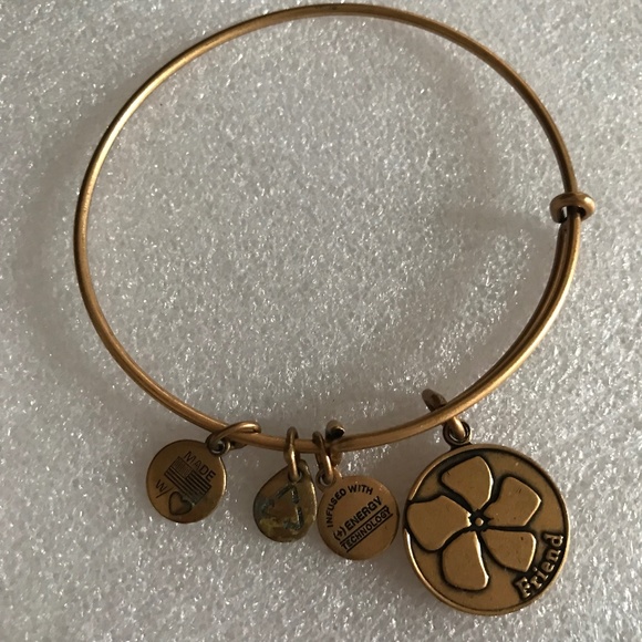 Alex and Ani Expandable Wire Bracelet - Friend - Picture 2 of 6